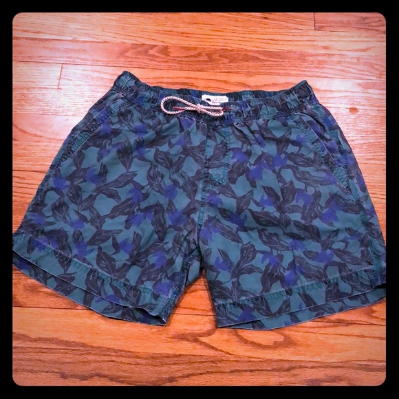 fat face swim shorts